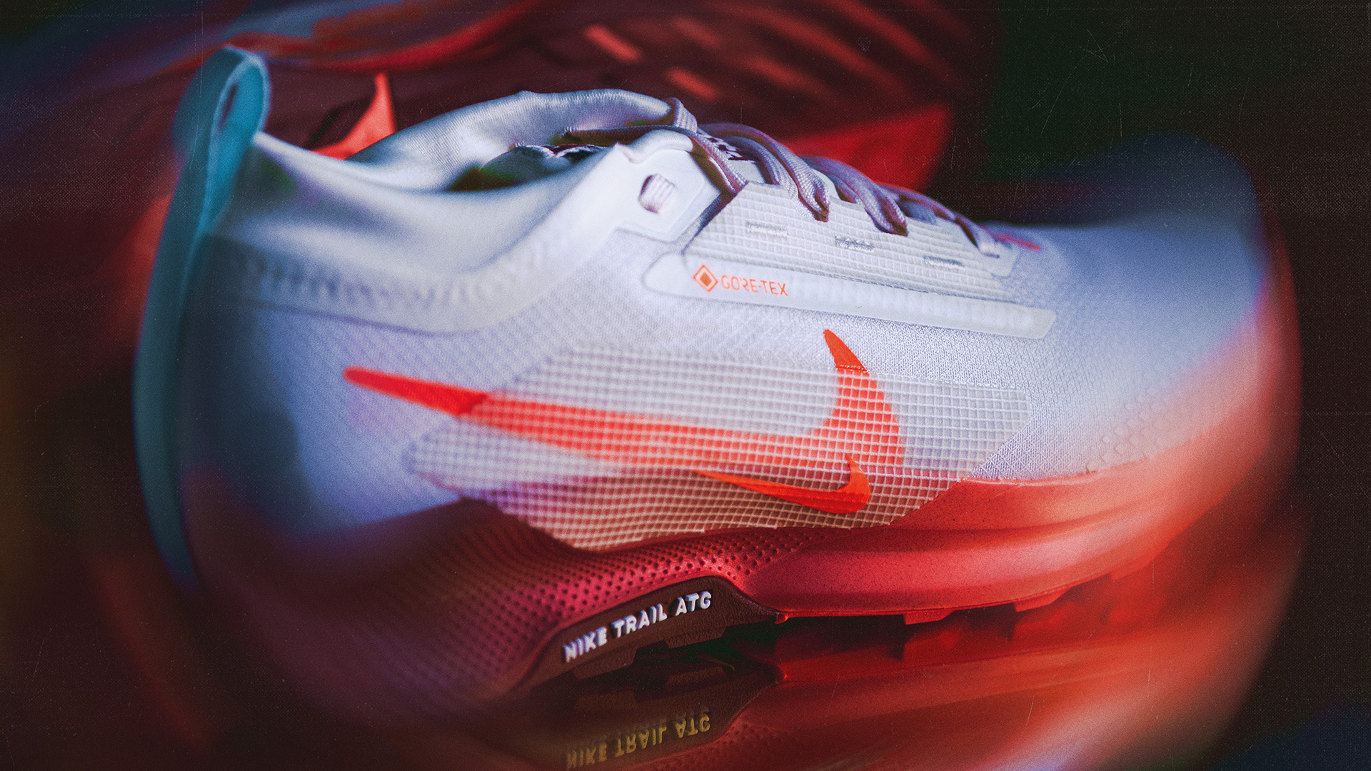 Nike Pegasus Trail Gore-Tex